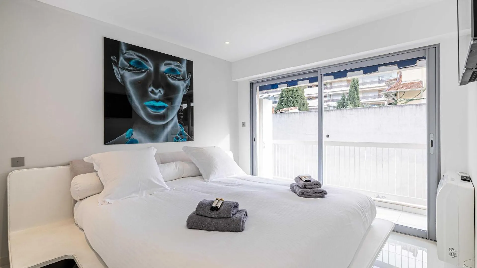 Beautiful Apartment With Sunny Terrace Cannes
